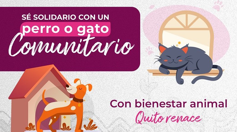 Perros y gatos comunitarios