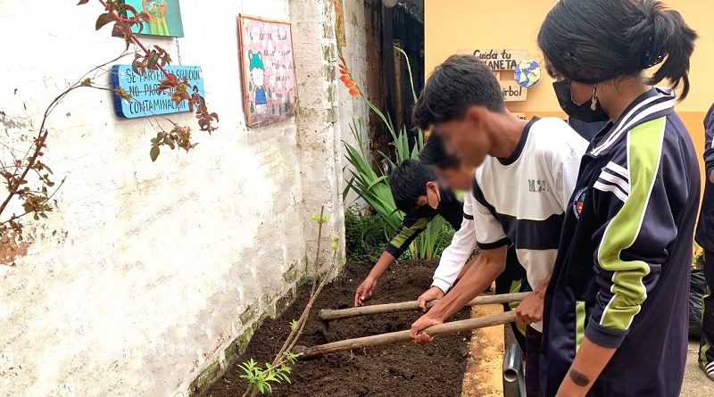 Unidades Educativas Municipales implementan huertos orgánicos