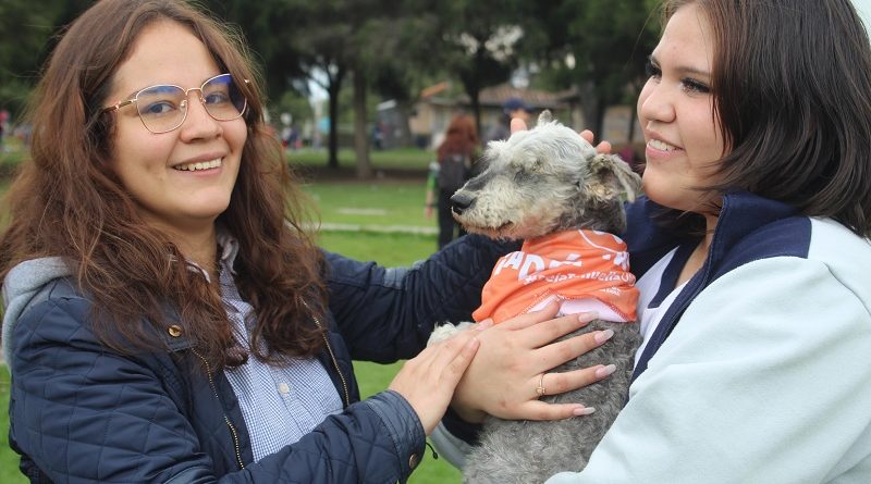 Brigada de adopciones 10 de junio