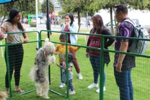 Brigada de adopciones 10 de junio