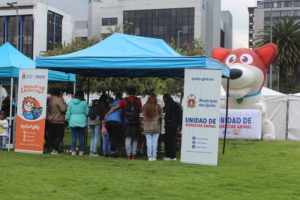 Brigada de adopciones 10 de junio
