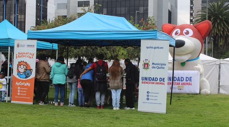 Brigada de adopciones 10 de junio
