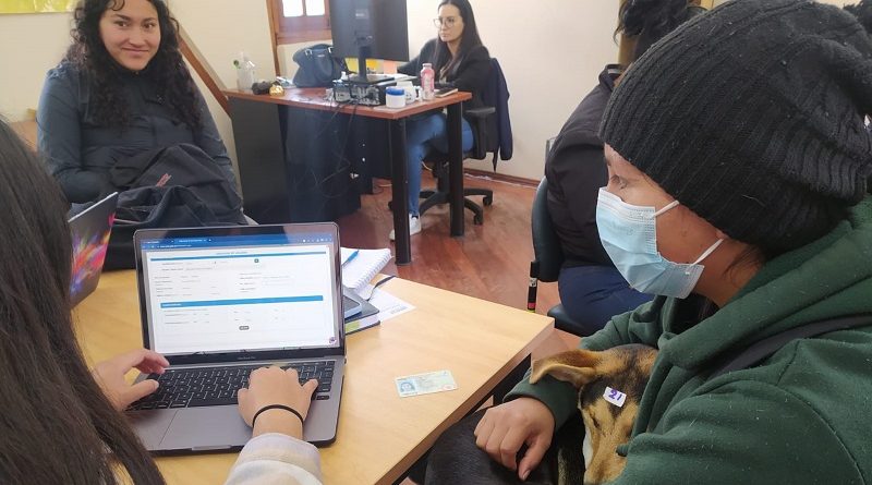 Plan piloto de animales de compañía