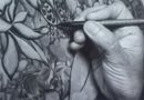 Visite la exposición ‘Espacio Intermedio’ de Sonia Rosales