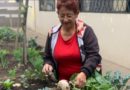 Municipio de Quito promueve la creación de huertos saludables comunitarios