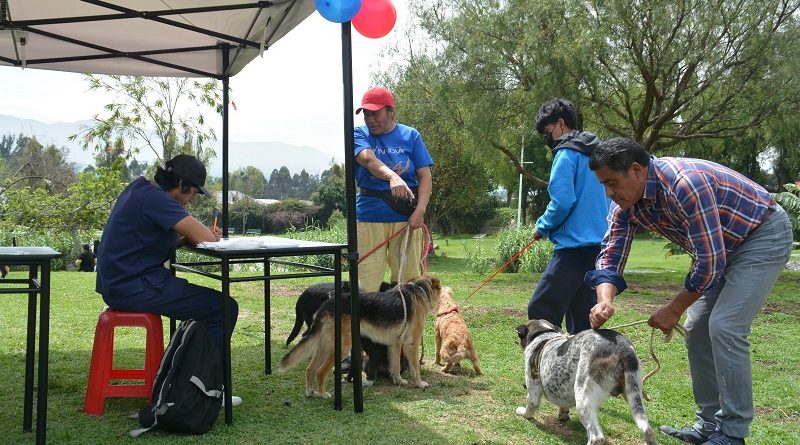 'Los Chillos Saludable’ se desarrolló con éxito en Conocoto