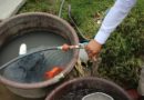 Municipio habilita canales para denunciar conexiones ilegales de agua y alcantarillado