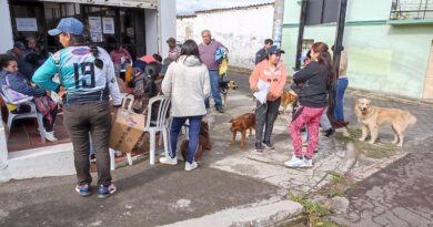 Animales de compañía fueron esterilizados en Yaruquí