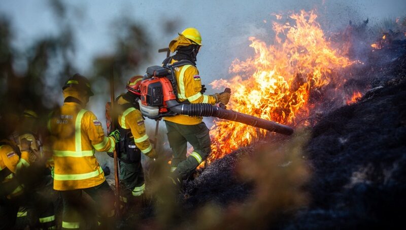 Quito enfrenta la época de incendios forestales con una inversión de USD 8 millones – Quito Informa