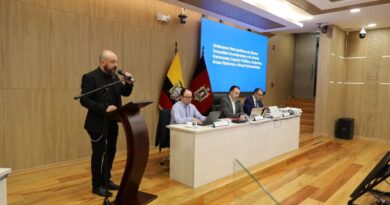 Ordenanza Patrimonio