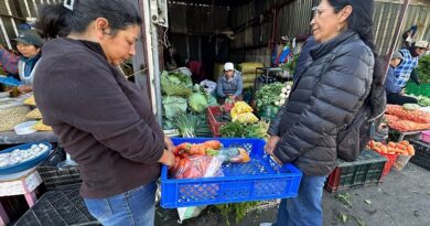 Concejo Metropolitano aprobó ordenanza para prevenir el desperdicio de alimentos