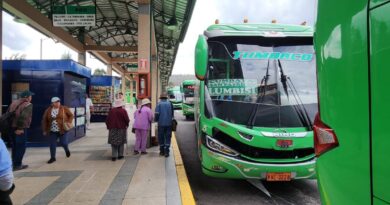 Vive el Carnaval en las parroquias del Distrito viajando desde las terminales microrregionales