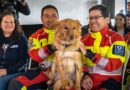 Chaupi, Otto y Ringo son algunos protagonistas del fotolibro ‘Siguiendo la huella’