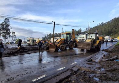 Cierre parcial en la Av. Simón Bolívar por caída de árbol y deslizamiento de tierra: equipos municipales atienden la zona