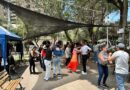 Salsa en el solar: Domingos que llenan de vida a La Mariscal