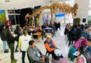 Atención comerciantes: ¡Abiertas las inscripciones al curso PUCA 2026!
