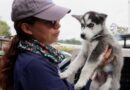 10 cachorros fueron rescatados de venta ilegal en el mercado de El Quinche