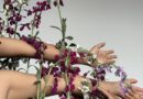 La agenda cultural para el fin de semana trae danza, ajedrez, poesía y rock