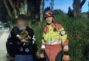 Una zanja, un árbol y dos vidas peludas que volvieron a casa
