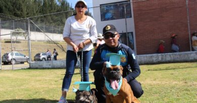 Adiestramiento gratuito para perros: curso municipal inicia en julio Adiestramiento gratuito para perros: curso municipal inicia en julio
