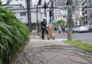 La Pradera se libera de 8 kilómetros de cables