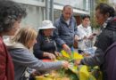 Conozca más sobre las plantas medicinales en los talleres del Museo de la Ciudad