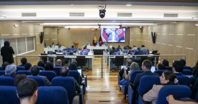 La recuperación de La Mariscal entra a debate en el Concejo Metropolitano