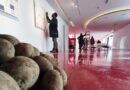 La papa como nunca la ha visto: visite la exposición ‘Tesoro de Indias’