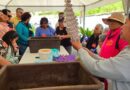 ¡Únete a un taller donde el arte y la ecología se encuentran: siembra creatividad y huertos!