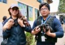 Kira y sus crías ya están a salvo tras operativo en centro clandestino del norte de Quito