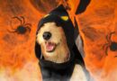 ¡Se viene el UBAween!, el festival más perrorífico