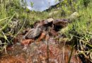 Rumipamba: el bosque que guarda el agua de Quito Rumipamba: el bosque que guarda el agua de Quito