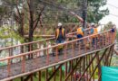 Desmontaje de puente de la av. 10 de Agosto no afectará la operación del Trolebús