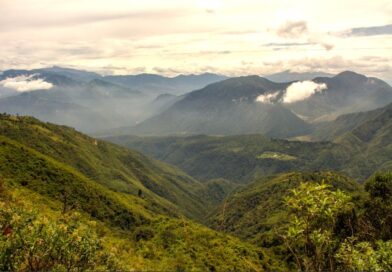 Chocó Andino: uno de los mejores destinos para visitar en 2026 Chocó Andino: uno de los mejores destinos para visitar en 2026