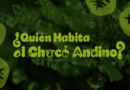 ¿Quién habita el Chocó Andino?: una experiencia sensorial que revela la vida en uno de los ecosistemas más valiosos de Quito