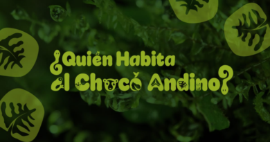 ¿Quién habita el Chocó Andino?: una experiencia sensorial que revela la vida en uno de los ecosistemas más valiosos de Quito