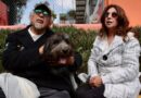 Conozca la historia de Lupo, un perro que vivía en un balcón y hoy inicia una nueva vida