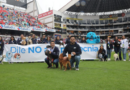 Cinco perros de la UBA encuentran un nuevo hogar tras desfile en la Noche Blanca 2026