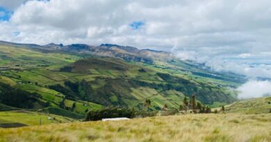 Municipio y Fondo para la Protección del Agua recuperan 500 hectáreas de páramo Municipio y Fondo para la Protección del Agua recuperan 500 hectáreas de páramo