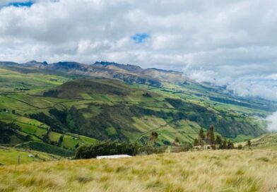 Municipio y Fondo para la Protección del Agua recuperan 500 hectáreas de páramo Municipio y Fondo para la Protección del Agua recuperan 500 hectáreas de páramo