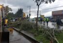 Equipos municipales atendieron 11 emergencias por las fuertes lluvias el 6 de marzo