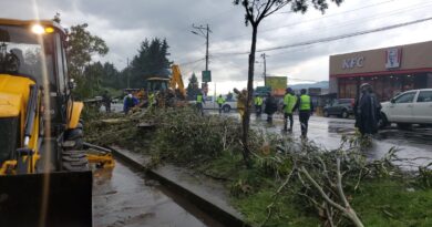 Equipos municipales atendieron 11 emergencias por las fuertes lluvias el 6 de marzo