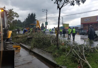 Equipos municipales atendieron 11 emergencias por las fuertes lluvias el 6 de marzo