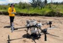 Quito restaurará 412 hectáreas de bosques con drones y semillas nativas Quito restaurará 412 hectáreas de bosques con drones y semillas nativas