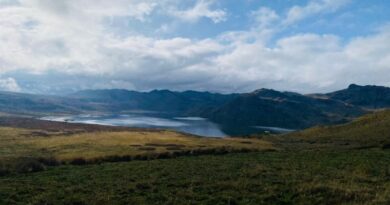 Misión científica de Dinamarca destaca el modelo de conservación hídrica de Quito