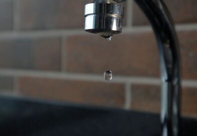 Día Mundial del Agua: ¿Por qué Quito es referente en calidad y cobertura? Día Mundial del Agua: ¿Por qué Quito es referente en calidad y cobertura?