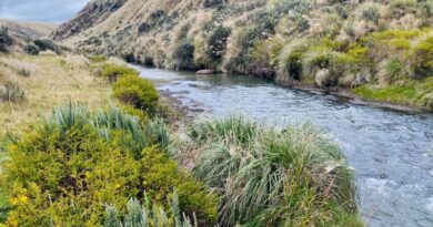 Entre el páramo y la cordillera: así es la jornada de quienes miden la lluvia y las fuentes de agua en Quito
