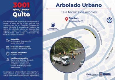 Árboles en riesgo de caída serán retirados de la avenida Oswaldo Guayasamín