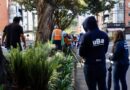 Plaga de roedores en la avenida República de El Salvador fue controlada