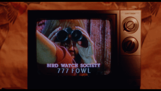 Agenda: en Quito las experiencias culturales no paran